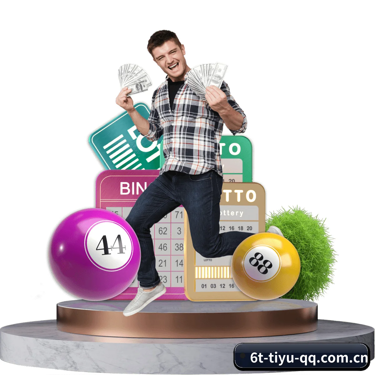 6t体育 APP 界面